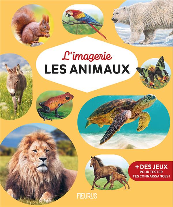 L'imagerie des animaux - flash vidéo