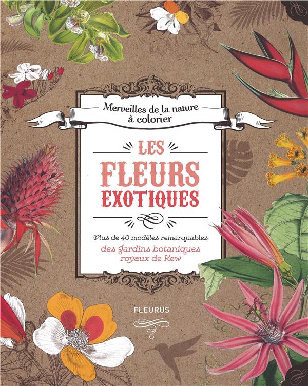Les fleurs exotiques
