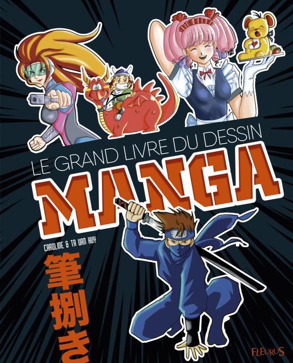 Le grand livre du dessin manga - flash vidéo
