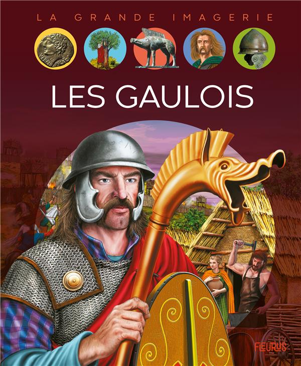Les Gaulois - flash vidéo
