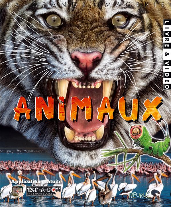Les animaux - flash vidéo