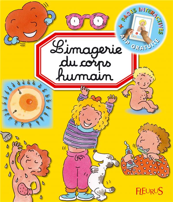 L'imagerie du corps humain - flash vidéo