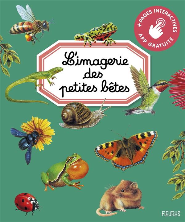 L'imagerie des petites bêtes - flash vidéo