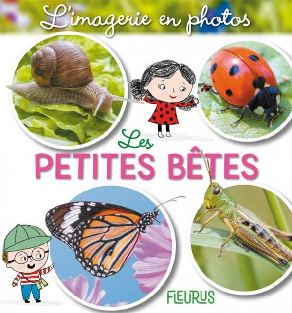 Les petites bêtes - flash vidéo