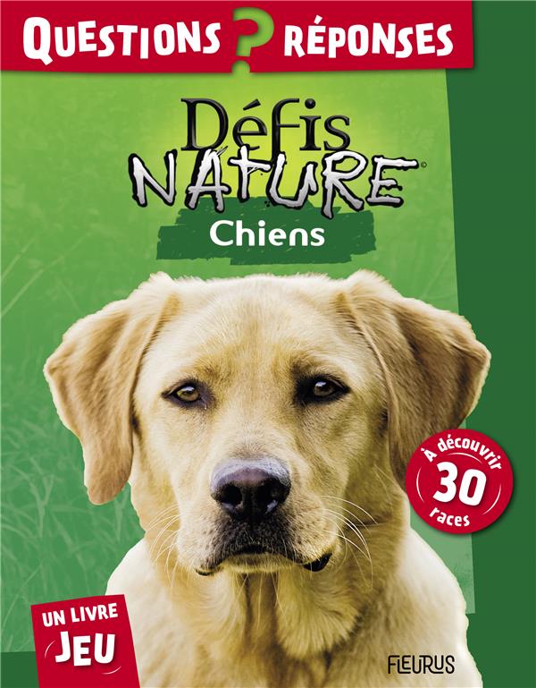 Chiens - flash vidéo