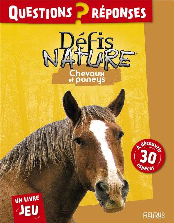 Défis nature ; je dessine les animaux : chevaux et poneys - flash vidéo