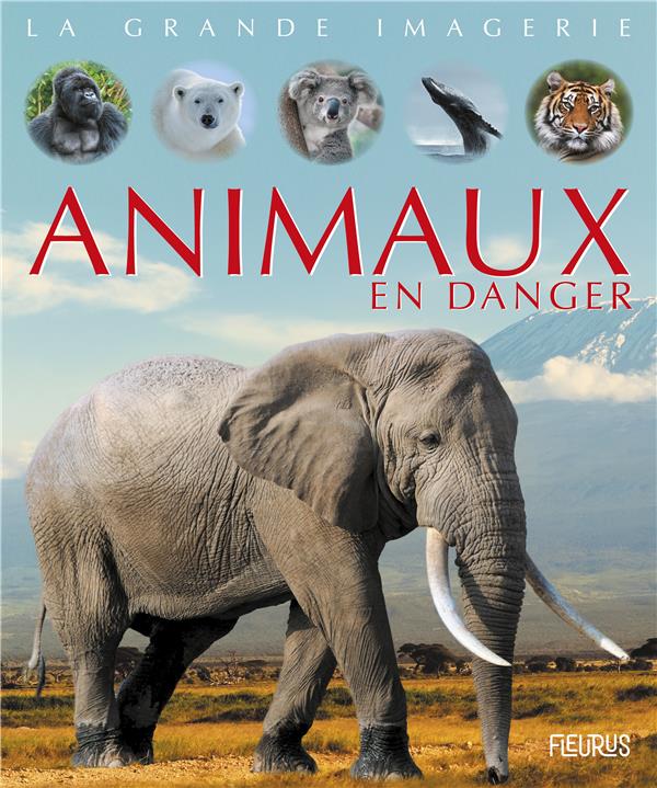 Animaux en danger - flash vidéo