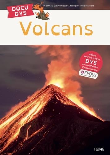 Volcans - flash vidéo