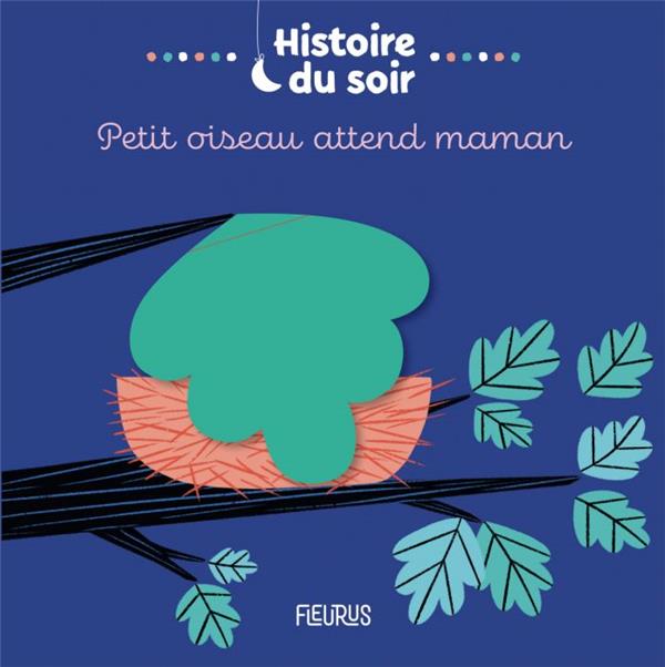 Petit oiseau attend maman - flash vidéo