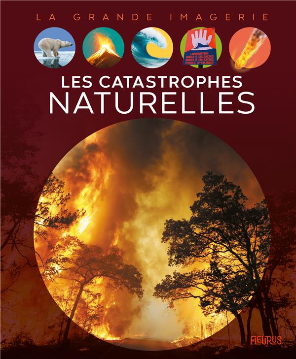 Les catastrophes naturelles - flash vidéo