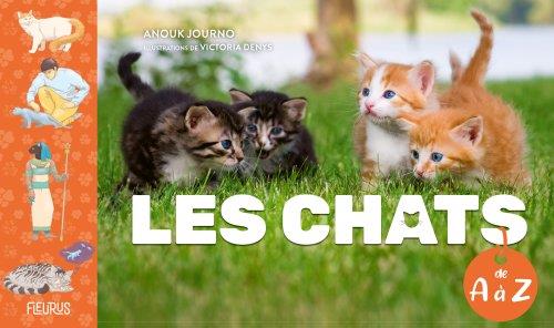 Les chats de A à Z - flash vidéo