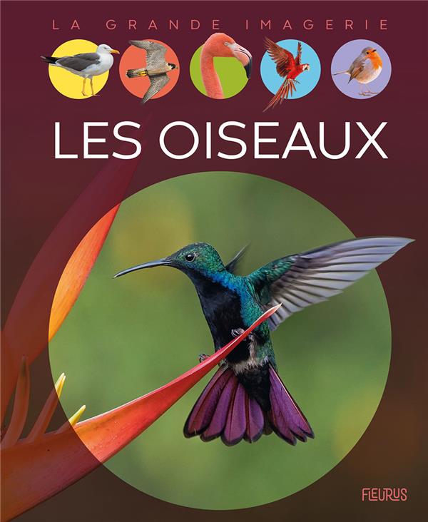 Les oiseaux - flash vidéo