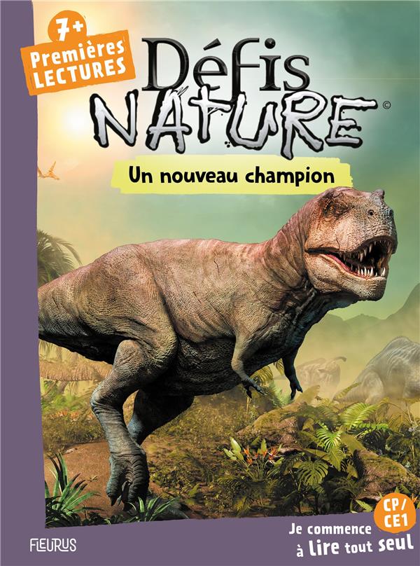 Un nouveau champion - flash vidéo