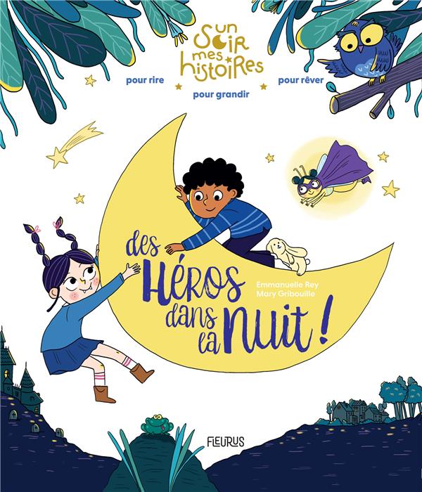 Des héros dans la nuit ! - flash vidéo