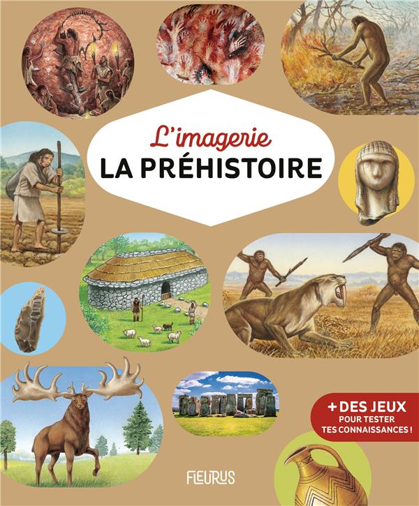La préhistoire - flash vidéo