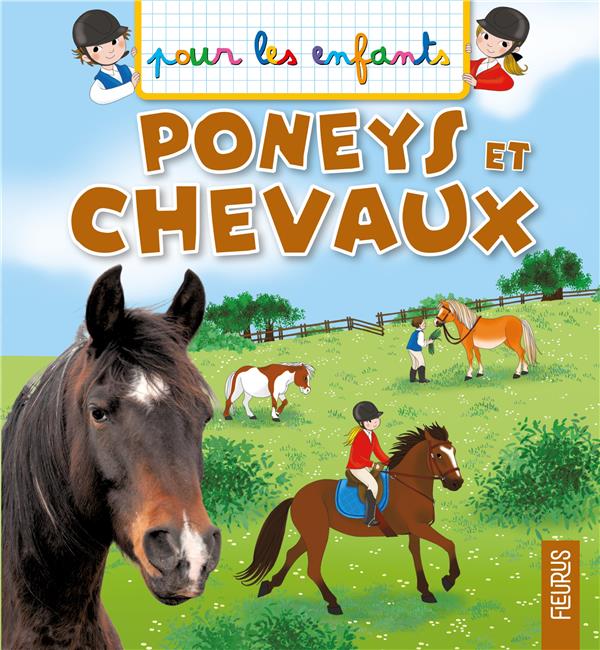 Poneys et chevaux - flash vidéo