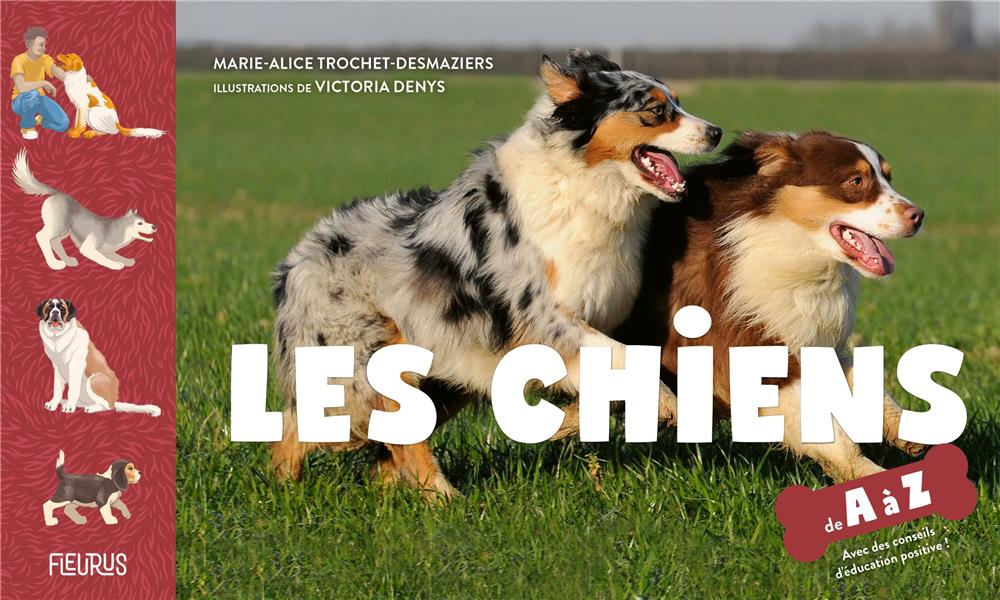 Les chiens de A à Z - flash vidéo