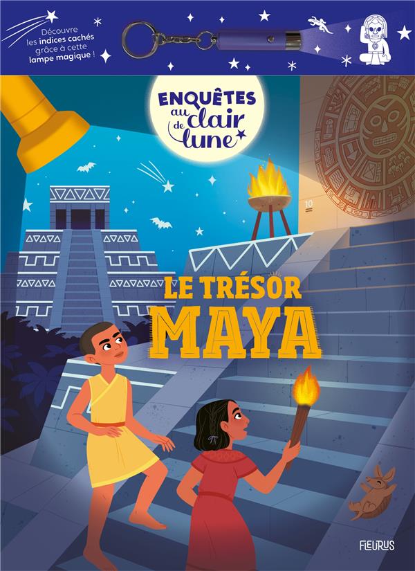 Enquêtes au clair de lune : le trésor maya - flash vidéo