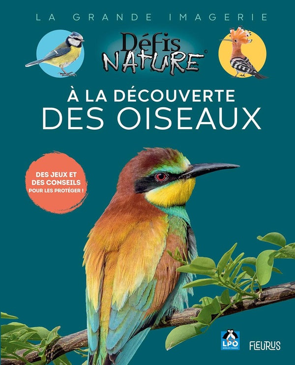 à la découverte des oiseaux - flash vidéo