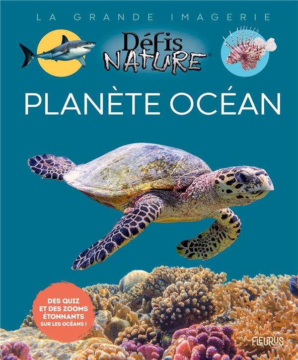 Planète océan - flash vidéo