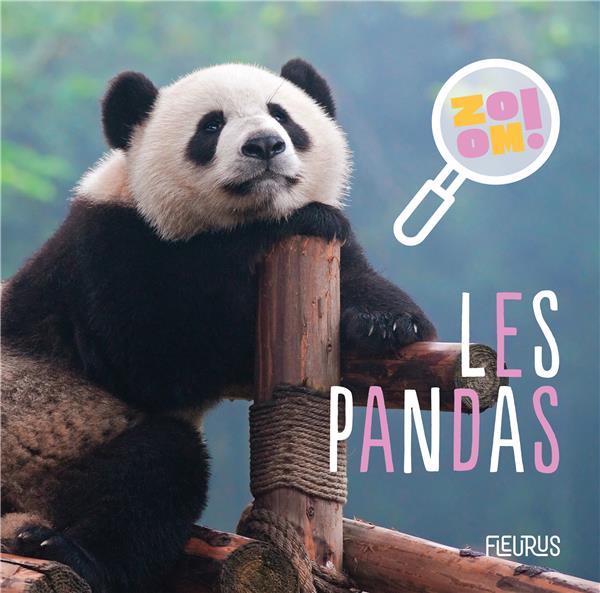 Les pandas - flash vidéo