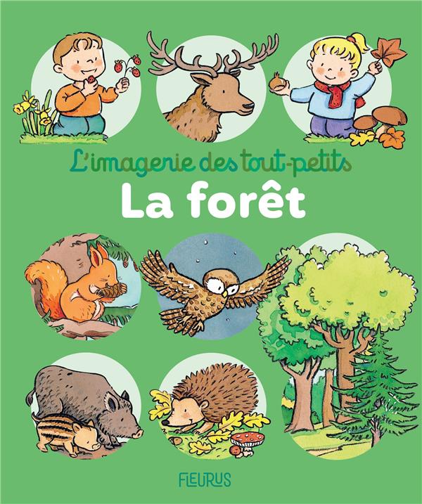 La forêt - flash vidéo