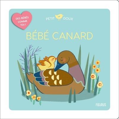 Bebe canard - flash vidéo