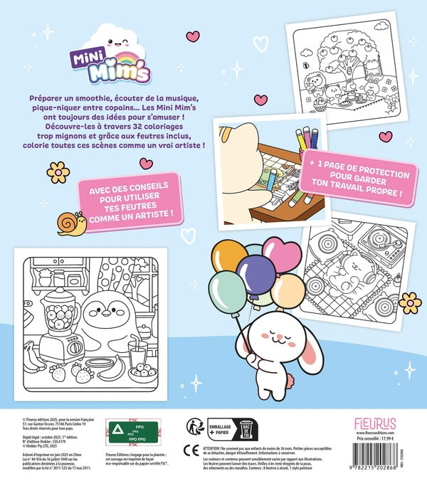 Mon grand coffret de coloriage Mini Mim's