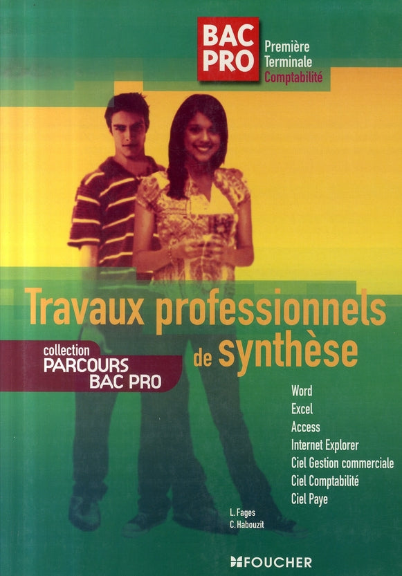 Travaux professionnels de synthèse