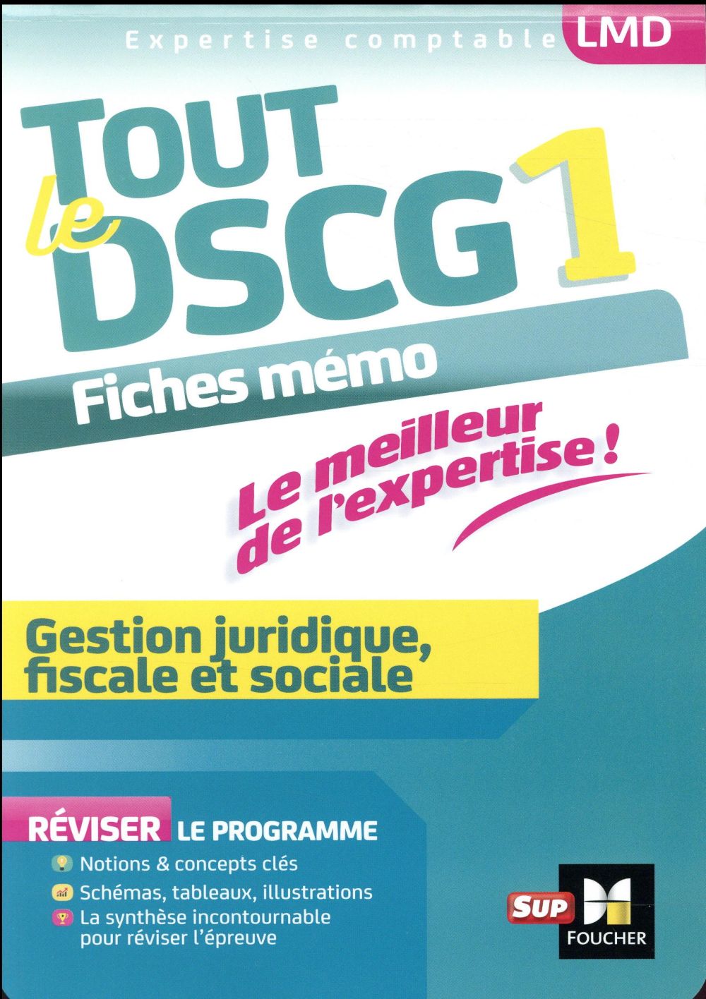 Tout le DSCG 1 ; gestion juridique fiscale et sociale