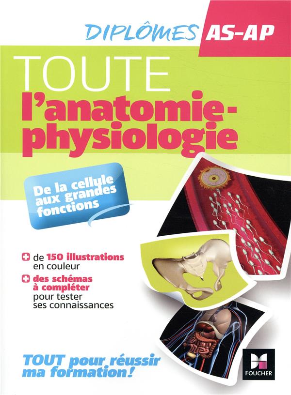 Toute l'anatomie - physiologie - aide-soignant, auxiliaire de puériculture - DEAS-DEAP