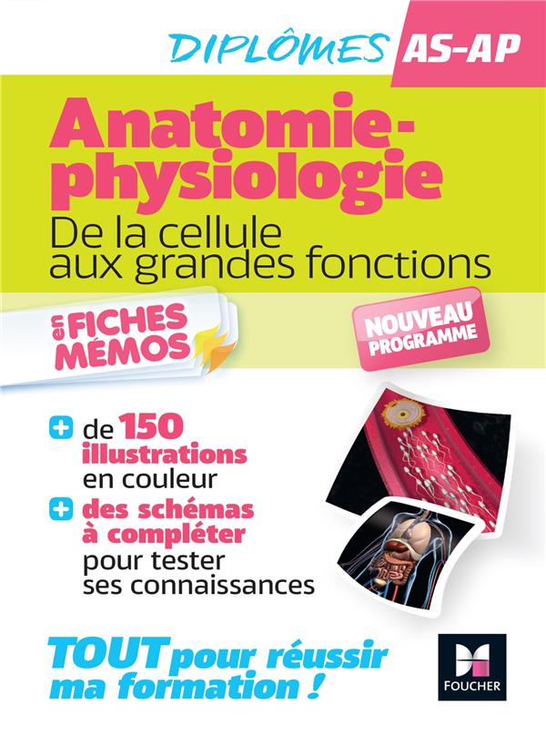 Diplômes AS-AP ; anatomie-physiologie : de la cellule aux grandes fonctions ; en fiches mémos