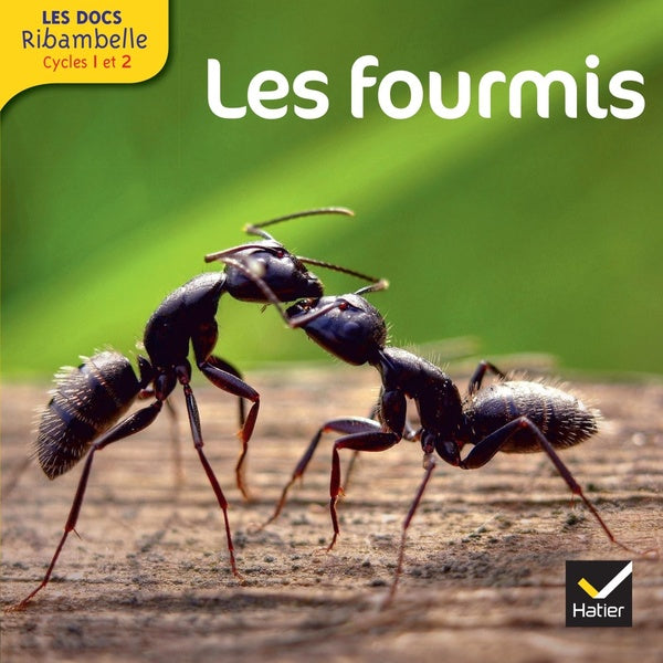 LES DOCS RIBAMBELLE : les fourmis ; cycle 2
