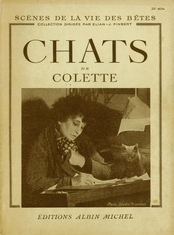 Chats de Colette