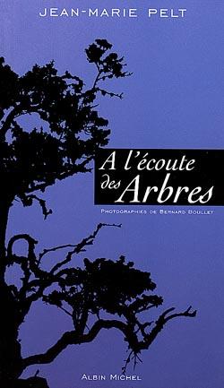 A l'ecoute des arbres