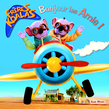 Bonjour les amis