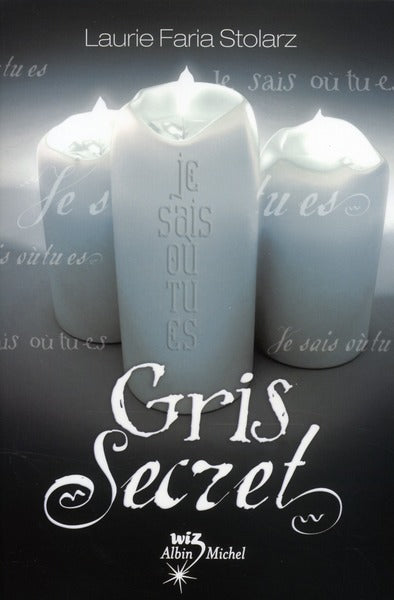 Gris secret Tome 3