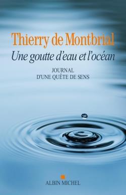 Une goutte d'eau et l'océan ; journal d'une quête de sens