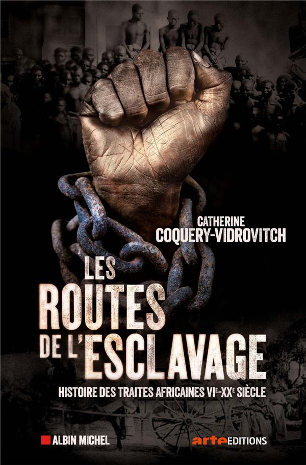 Les routes de l'esclavage ; histoire des traites africaines, VIe-XXe siècle