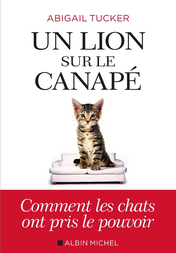 Un lion sur le canapé