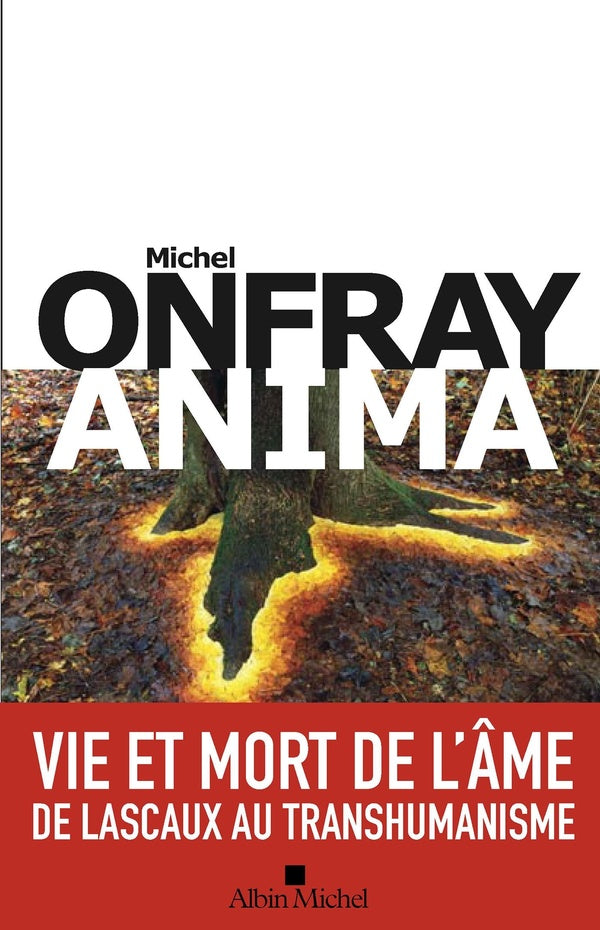 Anima : vie et mort de l'âme de Lascaux au transhumanisme