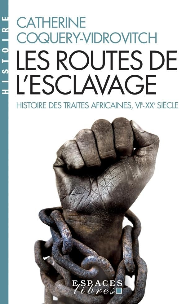 Les routes de l'esclavage ; histoire des traites africaines, VIe-XXe siècle
