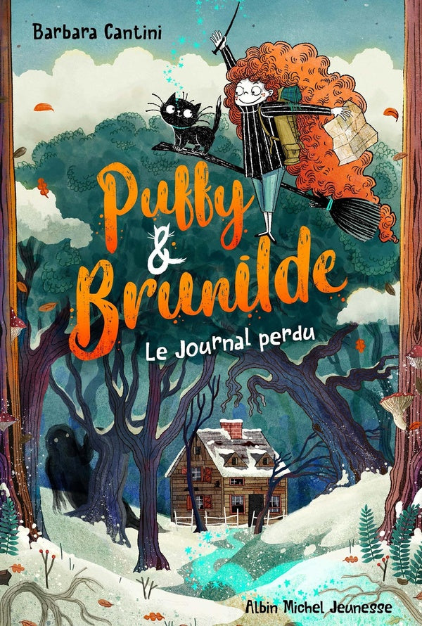 Puffy & Brunilde Tome 2 : le journal perdu