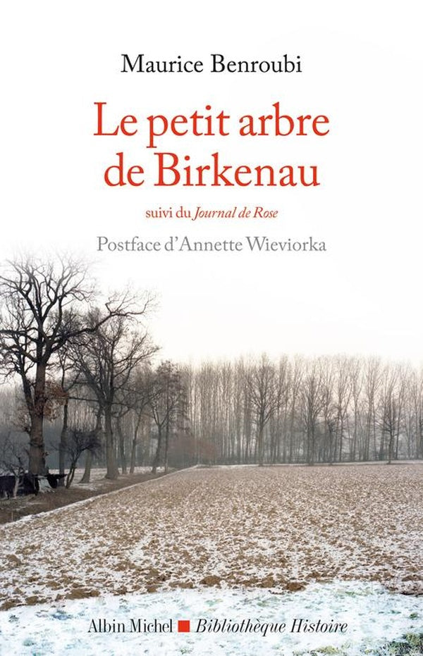 Le Petit Arbre de Birkenau : suivi du Journal de Rose