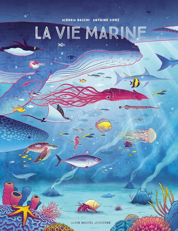 La vie marine : écosystème et biodiversité