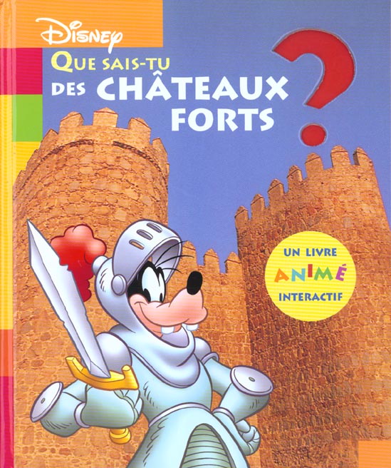 Que sais-tu des chateaux forts ?