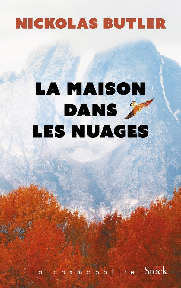 La maison dans les nuages