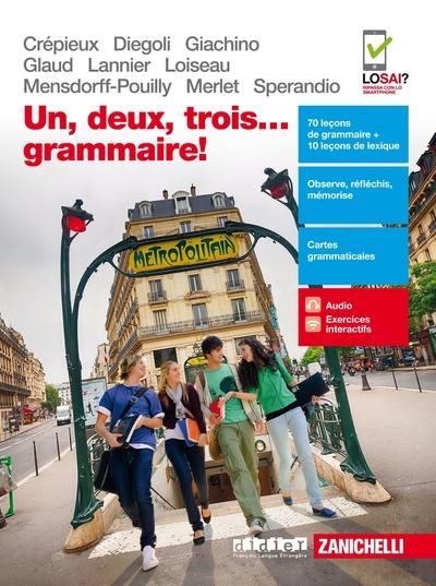 100% FLE : grammaire du français ; niveau A1/B2 ; Italie (édition 2017)