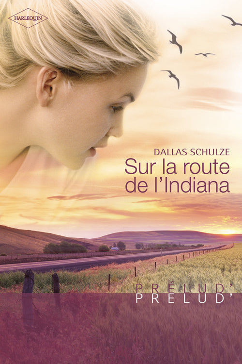 Sur la route de l'indiana