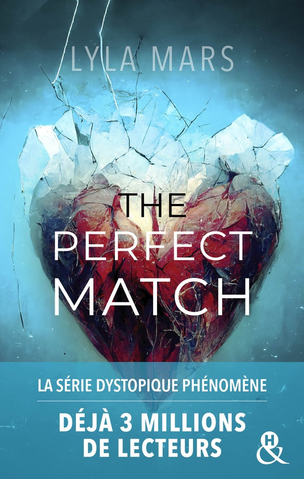 I'm not your soulmate Tome 1 : the perfect match